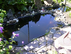 Пластиковый пруд: главные преимущества водоема из полиэтилена